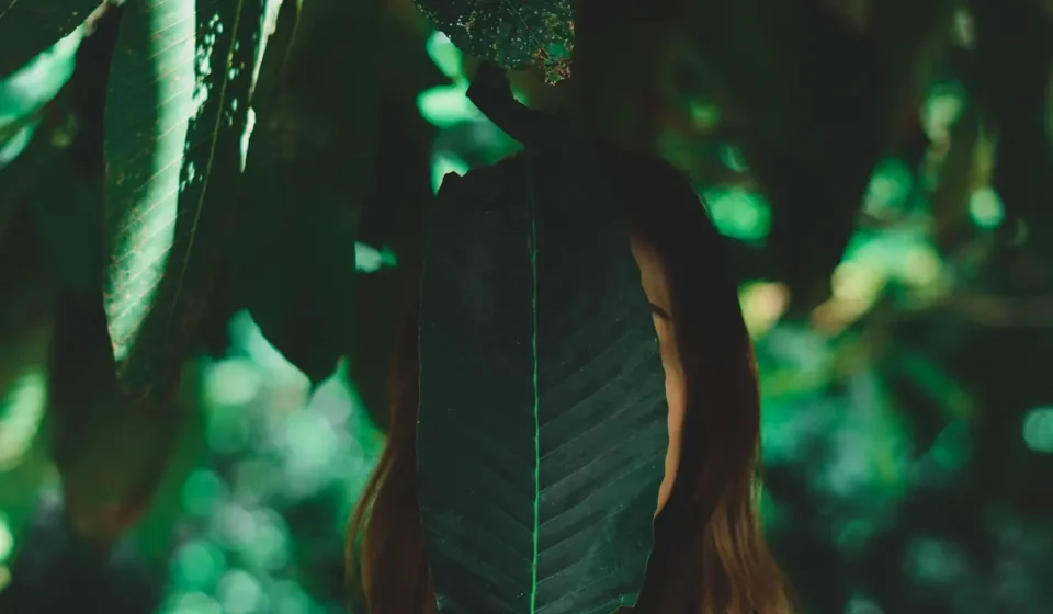 21. Yüzyılın En Etkili Sanat Akımları ve Kalıcı Mirasları