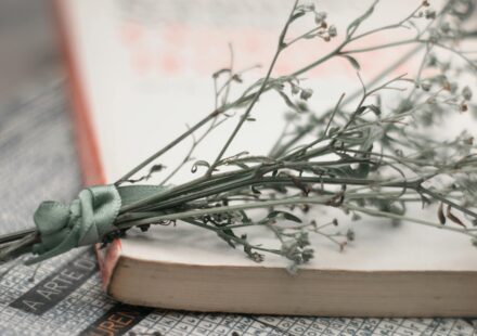 Lüks cilt bakım markalarına yeni başlayanlar için rehber