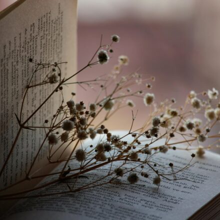 Haziran Ayının En Önemli Olaylarını Yakalayın