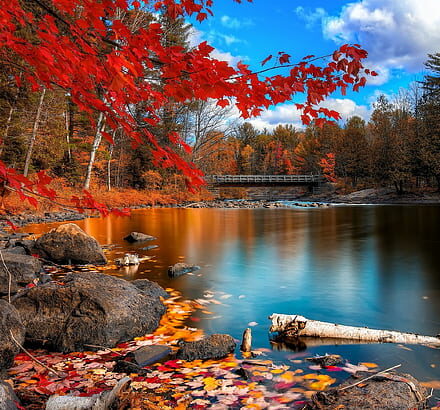 Muhit Dergi Ekim 2022